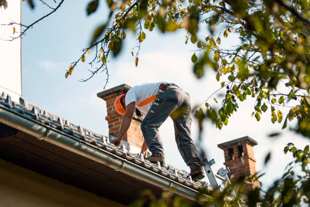 Best Storm Damage Roof Repair  in Durant, MS